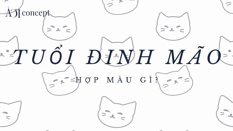 Người tuổi Đinh Mão 1987 đang cân nhắc các chi phí vận hành và bảo dưỡng cho chiếc xe hợp phong thủy của mình